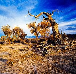 《黑暗之魂：重制版》画质MOD 所有武器升至4K