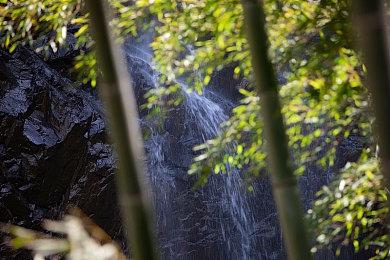 Steam《猫咪游戏特卖》节启动 多款新旧游戏优惠